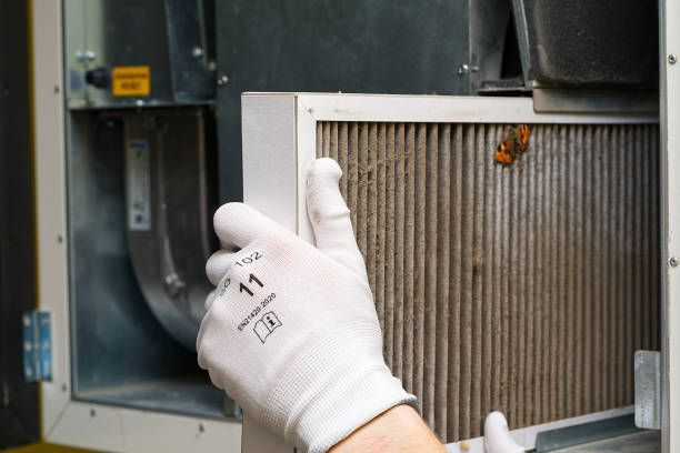 Air Quality Test in Norfolk, NE